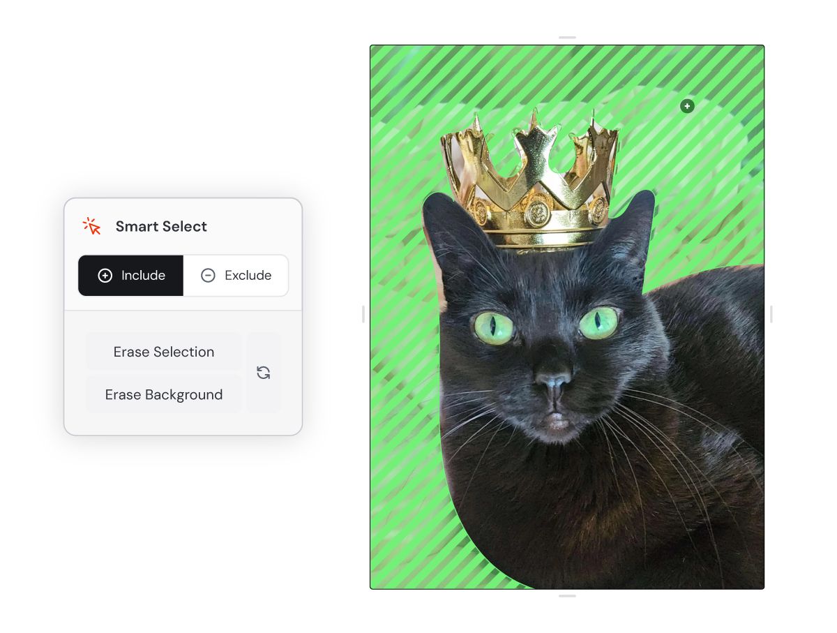 Smart Select：Include / Exclude 点选后，绿色斜纹是选中的背景区域，下方有 Erase Selection 和 Erase Background 两个按钮（英文界面）